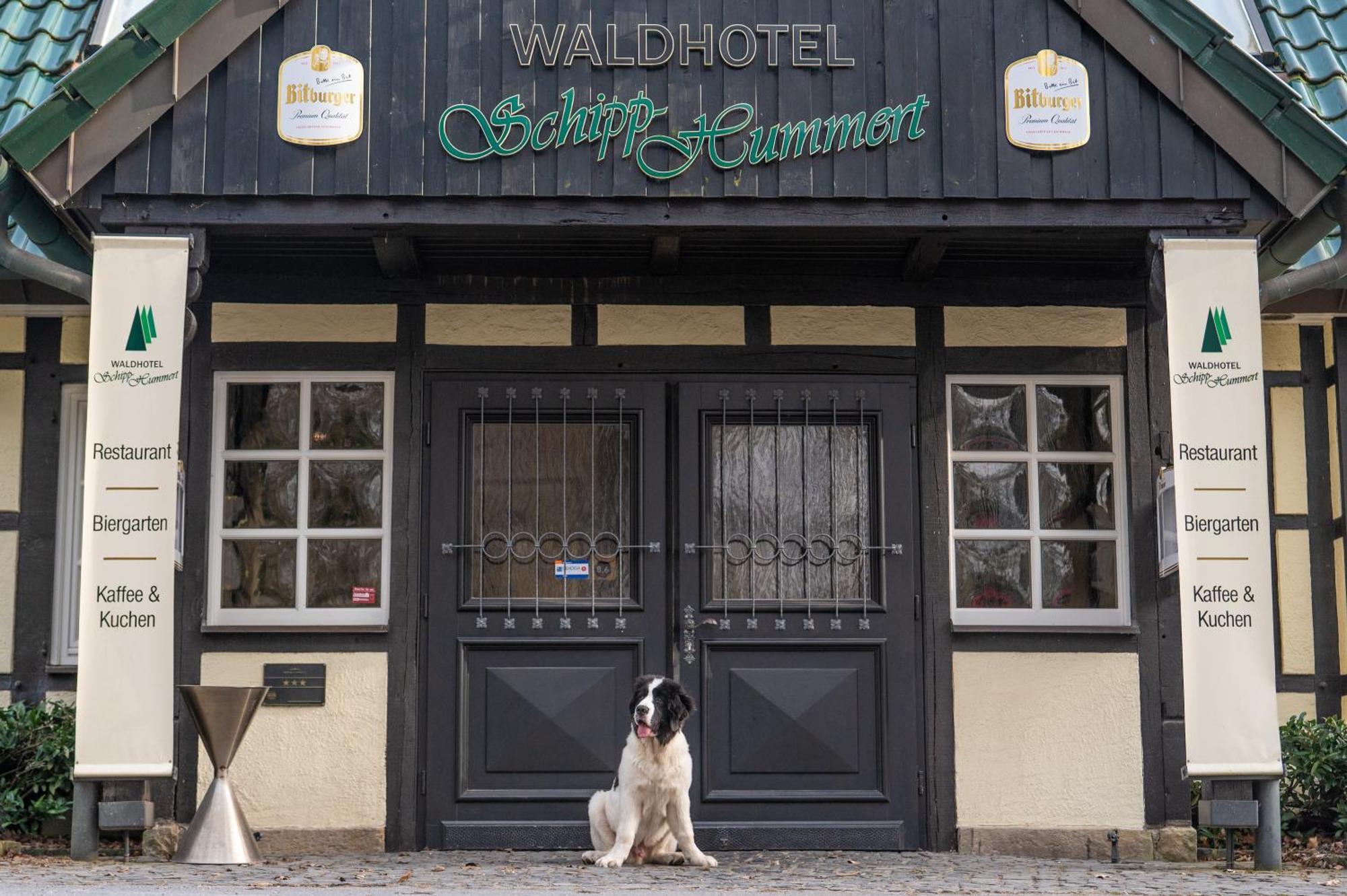 Waldhotel Schipp-Hummert Эмсдеттен Экстерьер фото